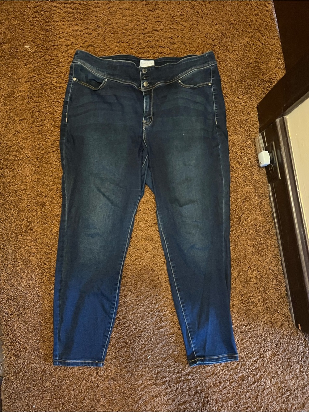 Lane Bryant Dark Blue Skinny Jeans